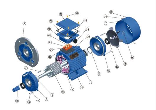 Basic structure of three-phase asynchronous motor